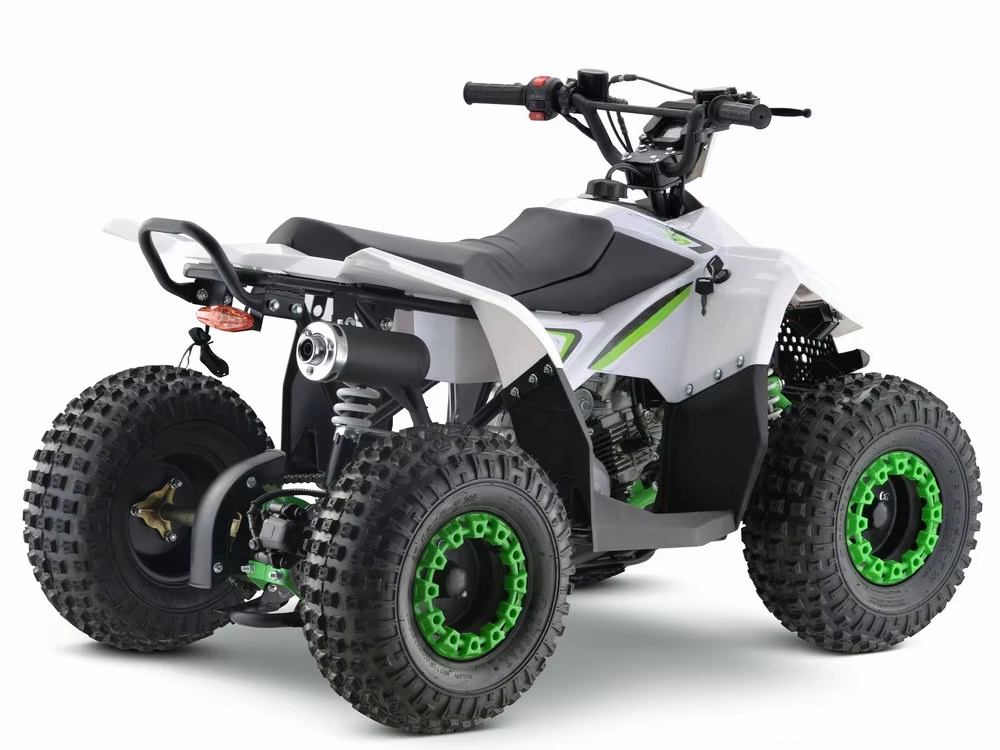 110cc Gas Powered Kids ATV 4 W - Kids Toys Quad 评论和价格