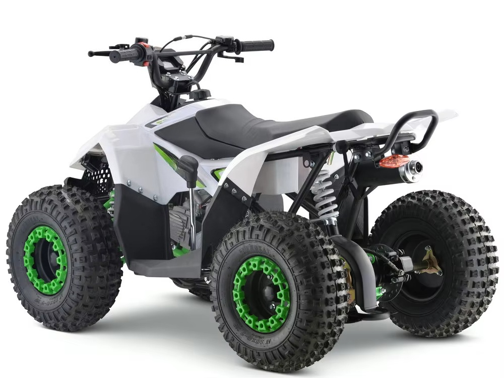 110cc Gas Powered Kids ATV 4 W - Kids Toys Quad 评论和价格
