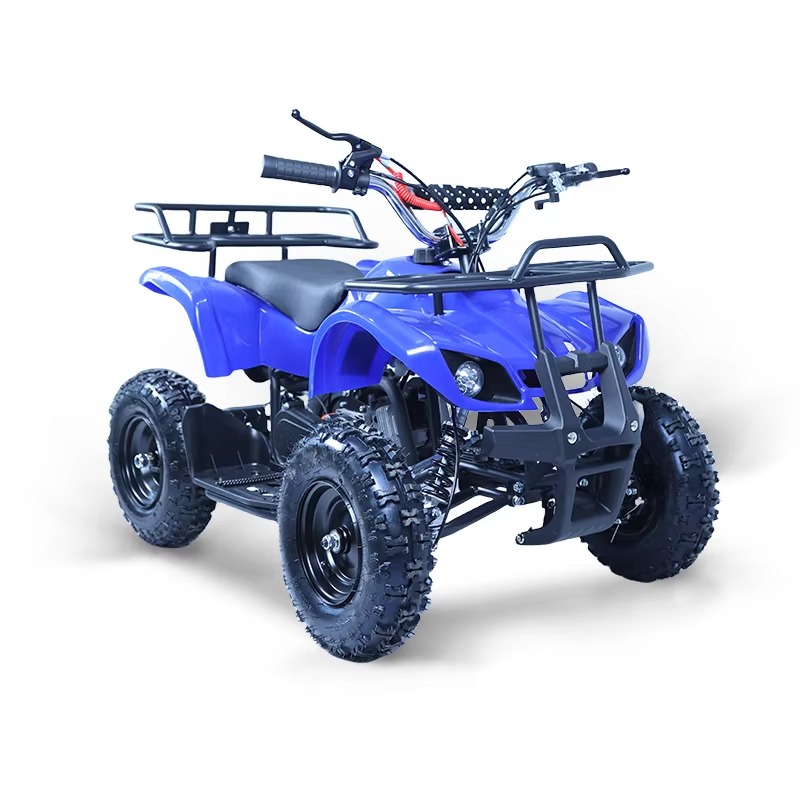 49cc Mini ATV Kids Quad Bike 2 - Kids Toys Quad 评论和价格