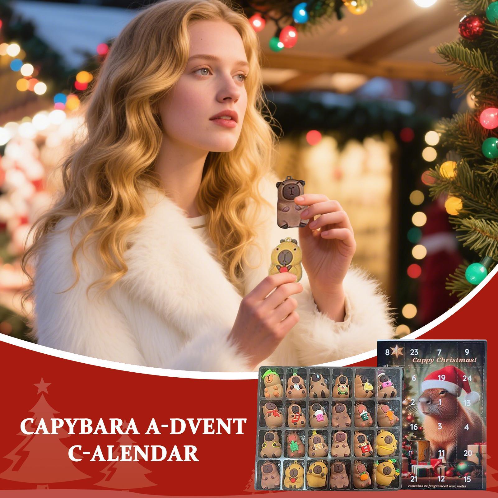 2025 Capybara Advent Calendar  - Kids Toys Xmas 2025 评论和价格